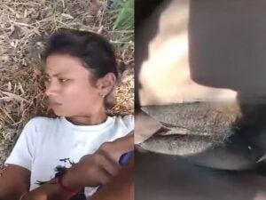 village girl outdoor MMS fucking video with